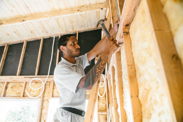 Best Insulation Replacement Services  in Pueblo West, CO